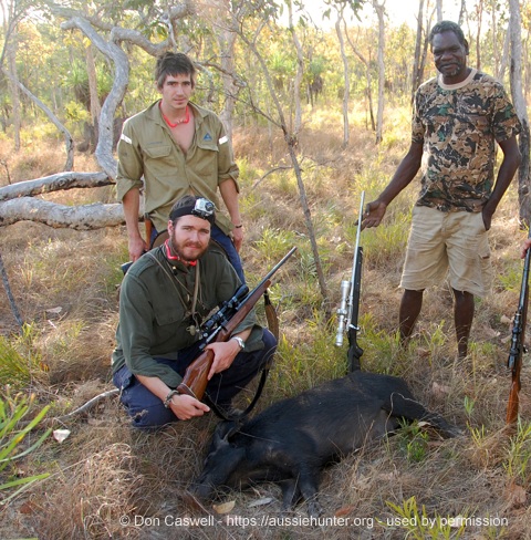 Mickey and aaron could not ignore wild pig