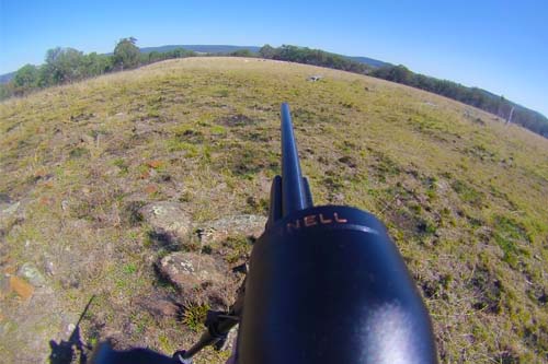 Quad Bike Hunting