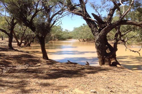 Hunting at Waterholes