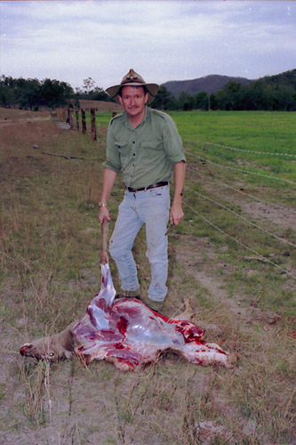 mature doe taken well placed chest shot