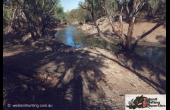 Brewarrina #1 NSW Hunting Property