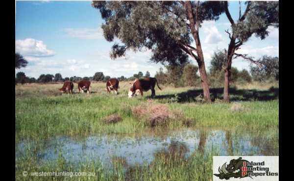 Tara #1 QLD Hunting Property