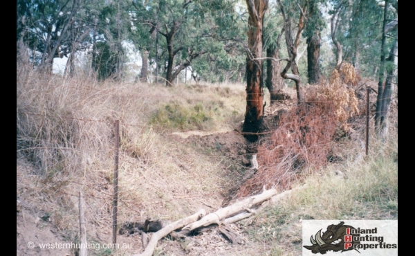 Tara #2 QLD Hunting Property