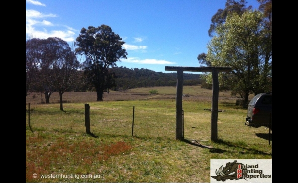 Bundarra #2 NSW Hunting Property