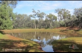 Byrock #5 Hunting Property NSW