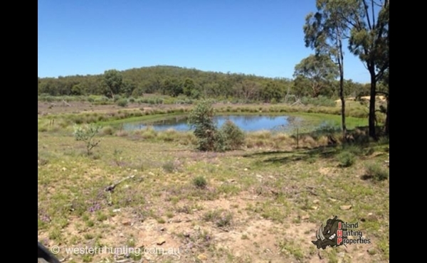 Texas #1 QLD Hunting Property