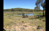 Texas #1 QLD Hunting Property