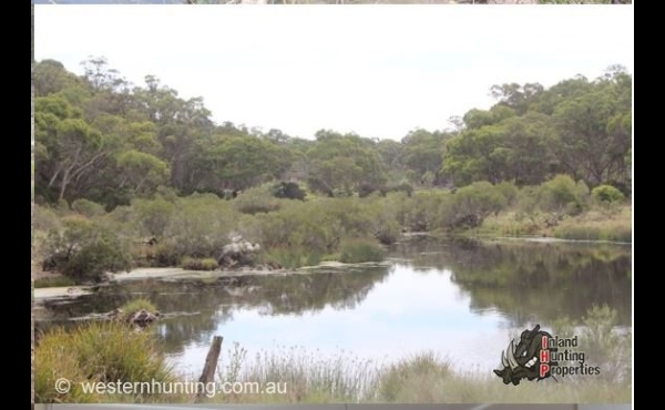 Glen Innes #1 NSW Hunting Property