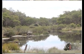 Glen Innes #1 NSW Hunting Property