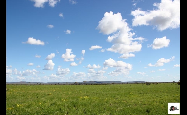 Blackall #1 QLD Hunting Property