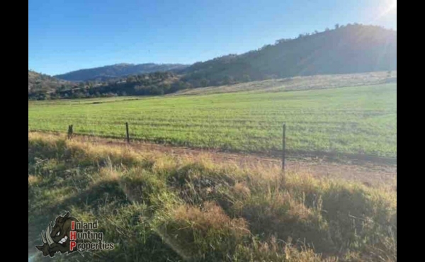 Barraba # 5 NSW Hunting Property