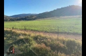 Barraba # 5 NSW Hunting Property