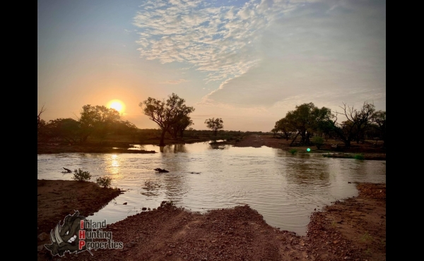 Quilpie #8 QLD Hunting Property