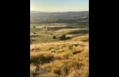 Barraba # 6 NSW Hunting Property