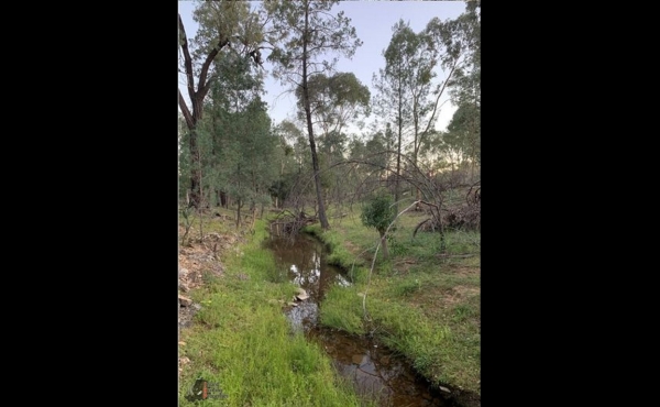 Texas #5 QLD Hunting Property