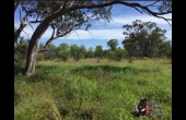 Cunnamulla #10 QLD Hunting Property