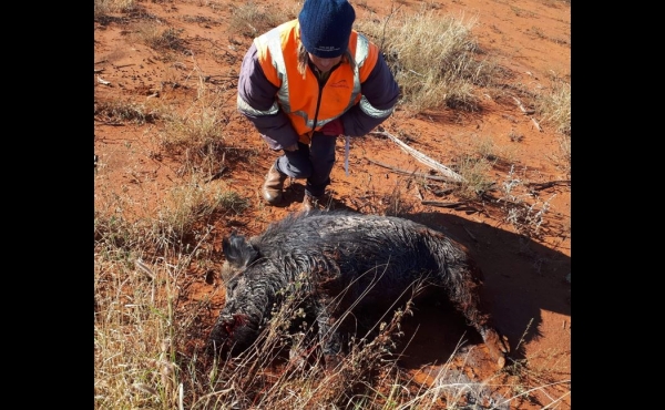 Bollon #4 QLD Hunting Property