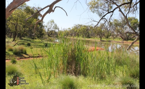 Packsaddle 1 NSW Hunting Property