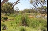 Packsaddle 1 NSW Hunting Property