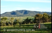 Willow Tree #1 NSW Hunting Property