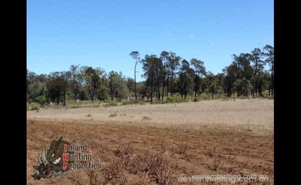 Glenmorgan #3 QLD Hunting Property