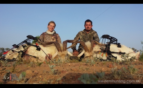 Quilpie #2 QLD Hunting Property