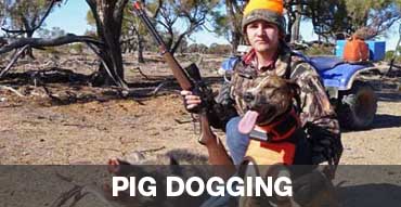 Pig Dogging in Australia